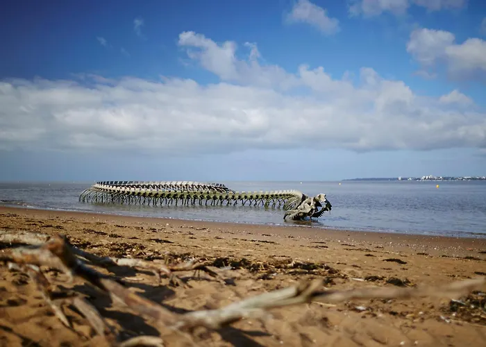 Vue Pour 2 Avec Balcon Et Parking - Fr-1-364-186 Daire